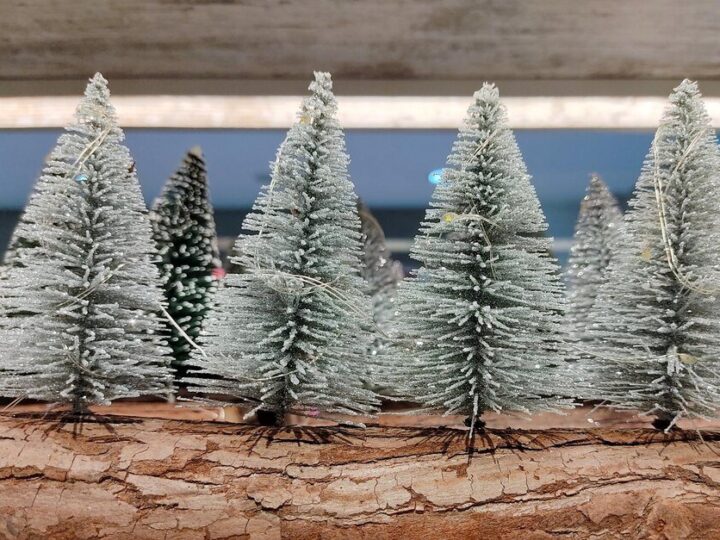 Miniaturowe iglaki do małego ogrodu – gatunki, kształty i kolory