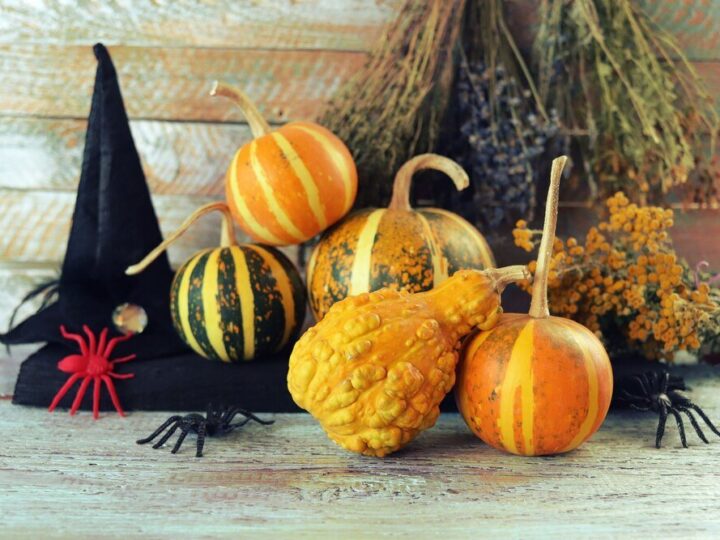 Dekoracje z dyni przed domem: 15 inspirujących pomysłów na jesienny klimat