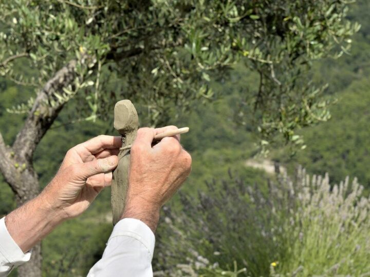 Uprawa oliwki europejskiej w donicy – jak mieć drzewko oliwne w domu