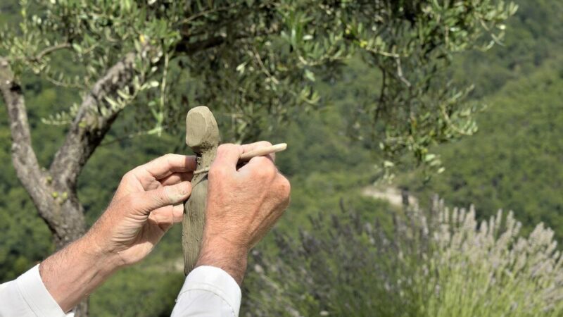 Uprawa oliwki europejskiej w donicy – jak mieć drzewko oliwne w domu